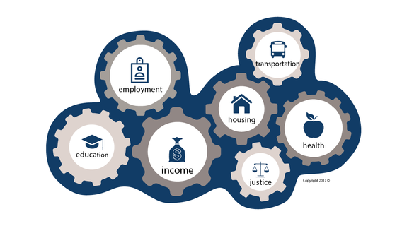 graphic of interconnected disparity domains: employment, education, income, housing, justice, transportation, and health.