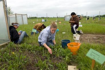 students doing research in a open field